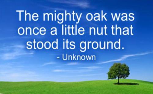 The-mighty-oak-was-once-a-little-nut-that-stood-its-ground.jpg